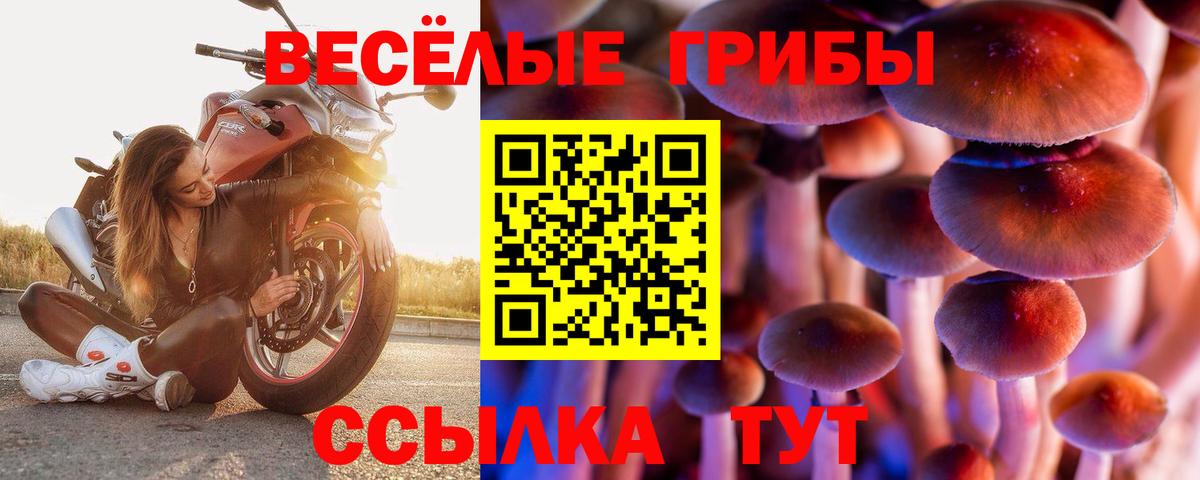 Псилоцибиновые грибы MAGIC MUSHROOMS Ефремов